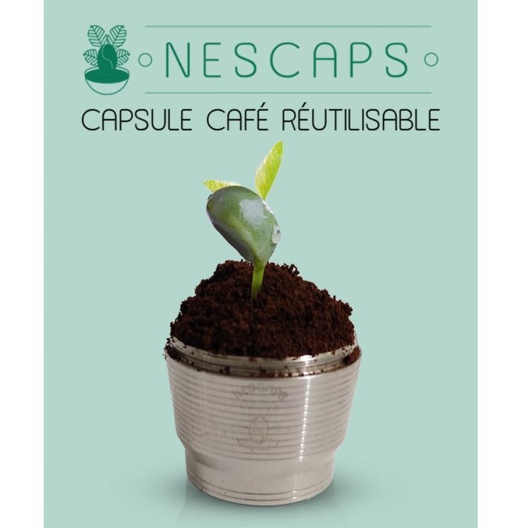 Une capsule réutilisable transformée en pot, avec une jeune pousse de caféier plantée dans le marc de café